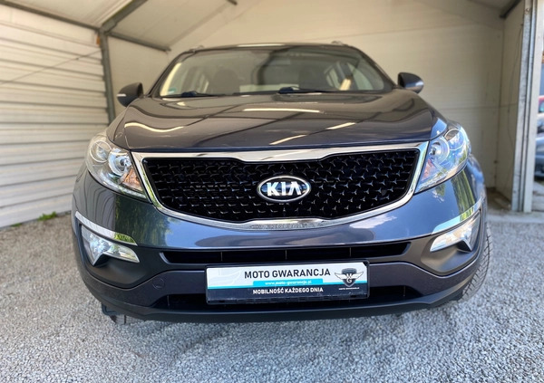 Kia Sportage cena 54900 przebieg: 92000, rok produkcji 2015 z Żagań małe 529